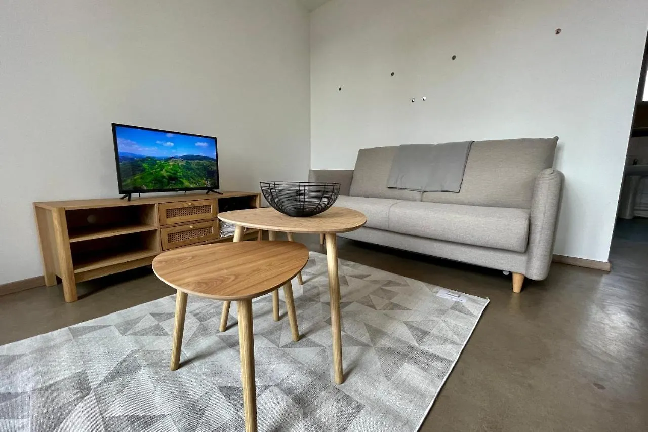 Appartement T2 Rue Bravard Roanne